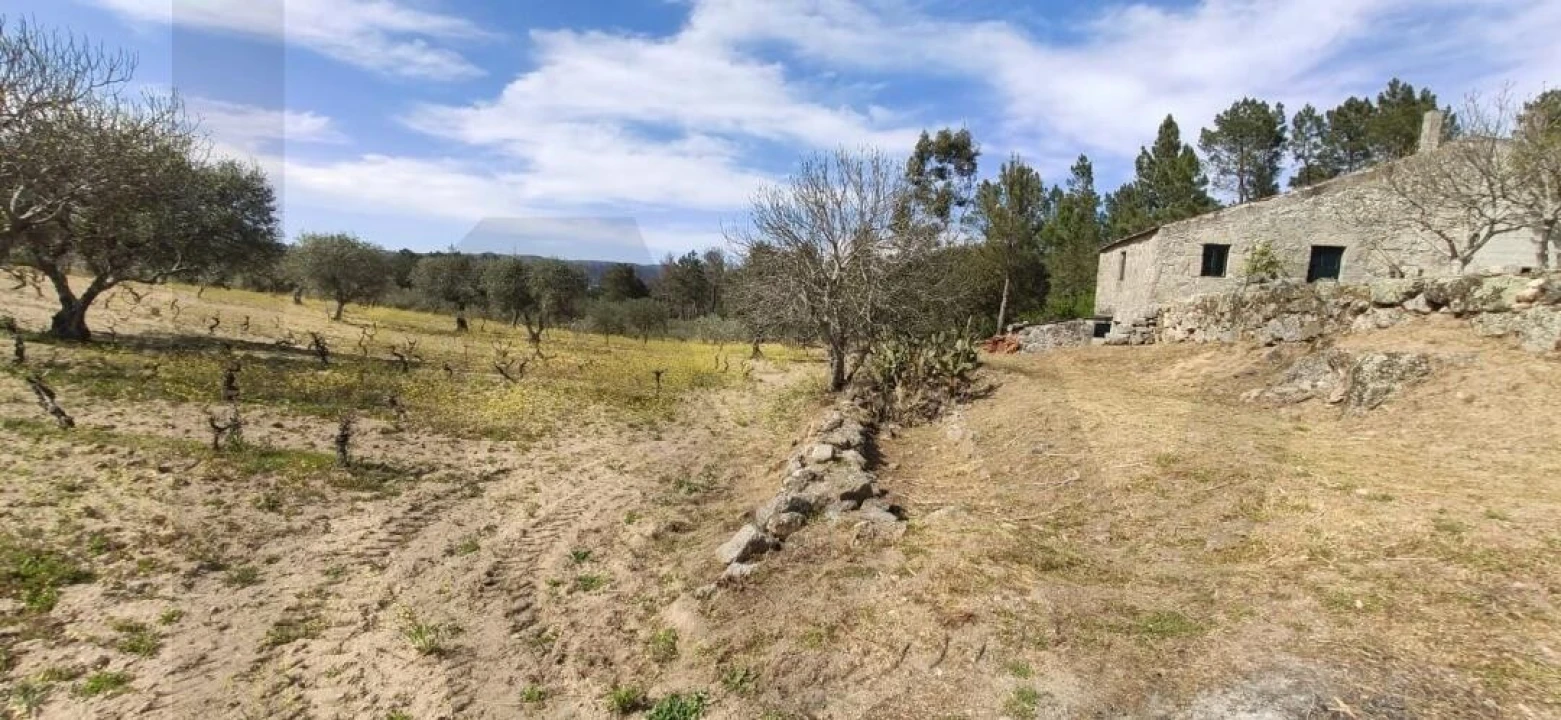 Quinta T2 para Venda em Ratoeira Foto 34