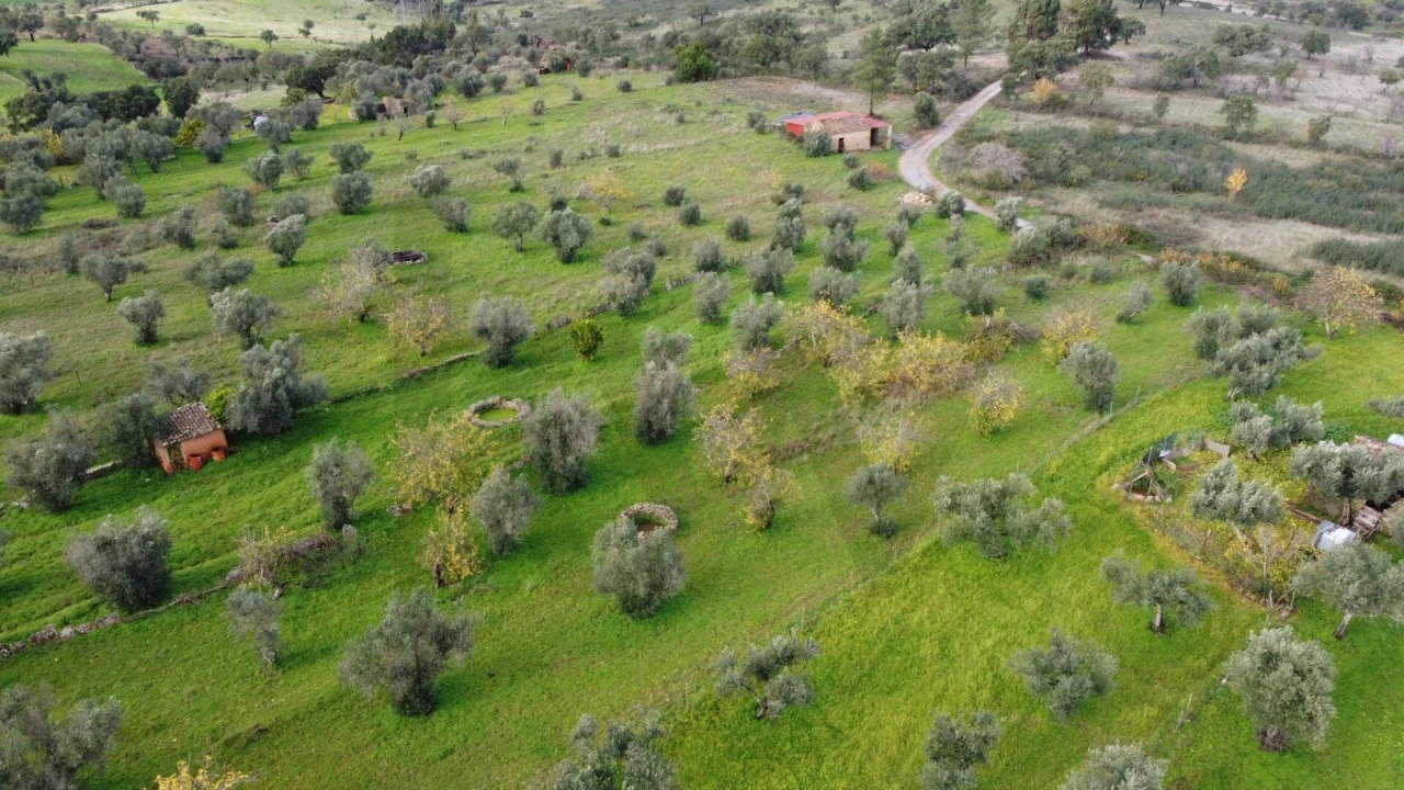 Terreno para Venda em Montalvão Foto 28