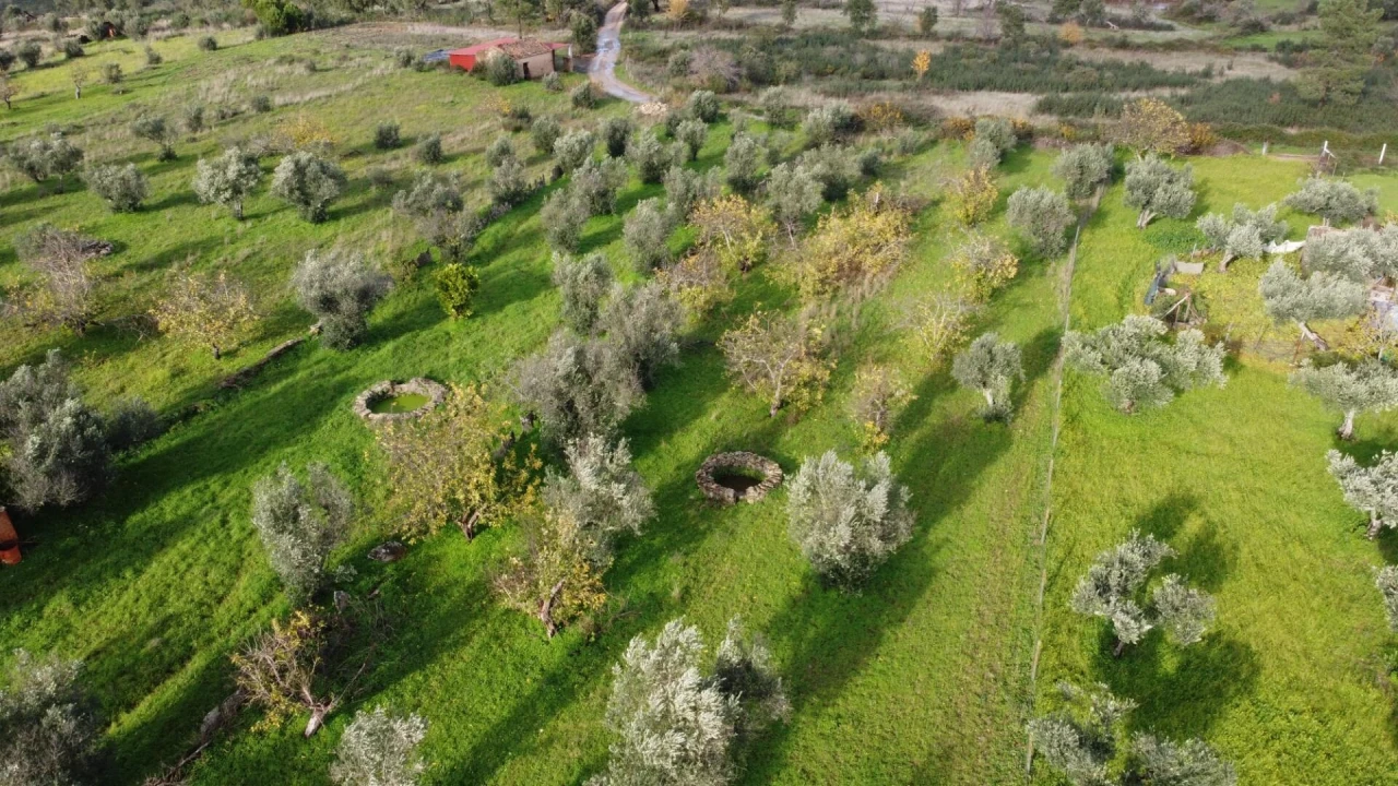 Terreno para Venda em Montalvão Foto 30