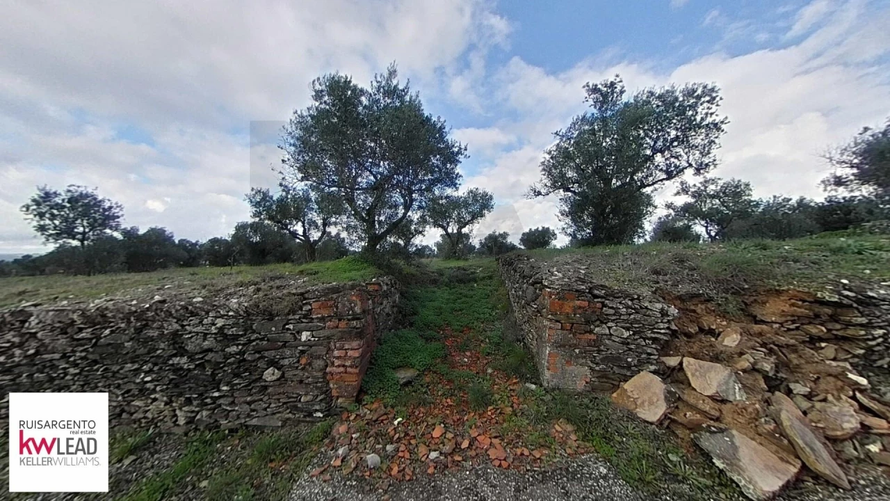 Terreno para Venda em Montalvão Foto 4