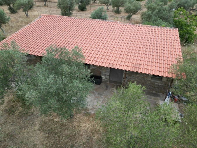Terreno para Venda em Montalvão Foto 25