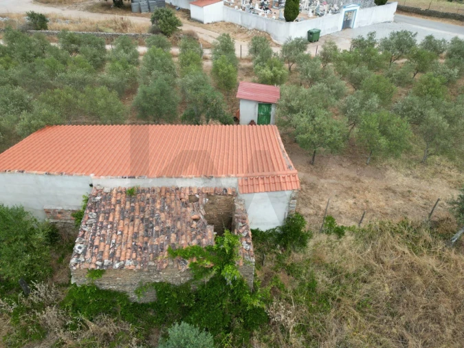 Terreno para Venda em Montalvão Foto 17
