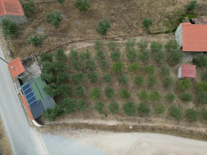 Terreno para Venda em Montalvão Foto 5