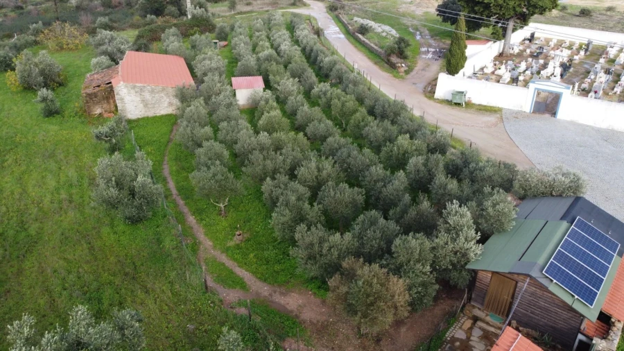 Terreno para Venda em Montalvão Foto 31