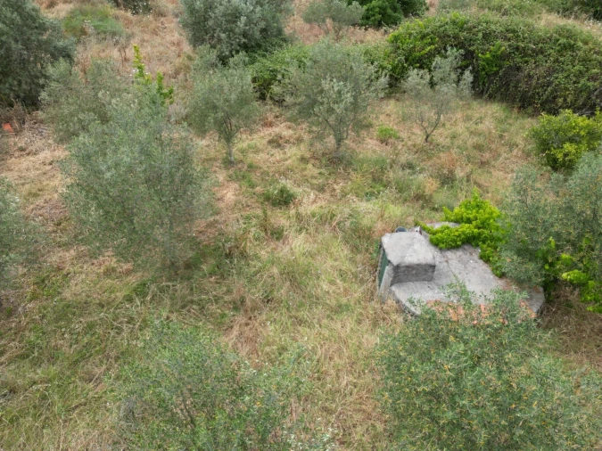 Terreno para Venda em Montalvão Foto 24