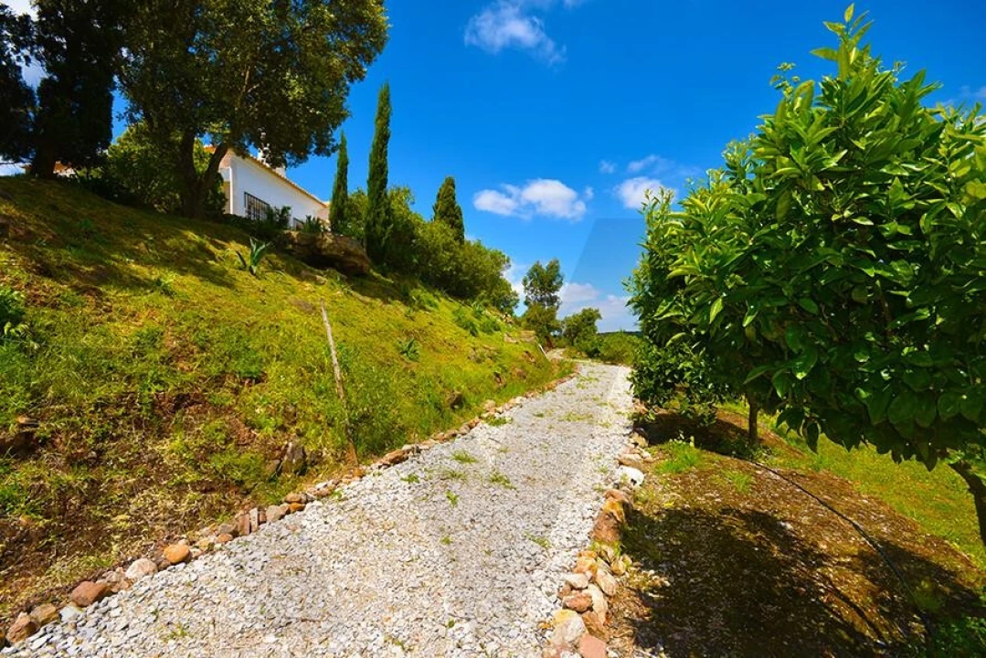 Quinta T5 para Venda em Palmela Foto 17