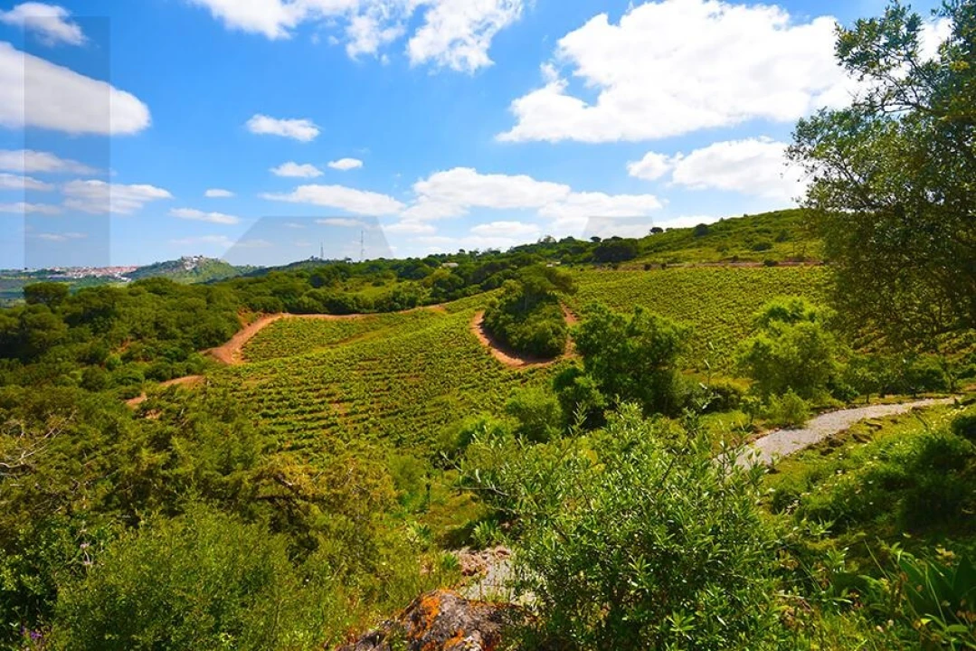 Quinta T5 para Venda em Palmela Foto 8