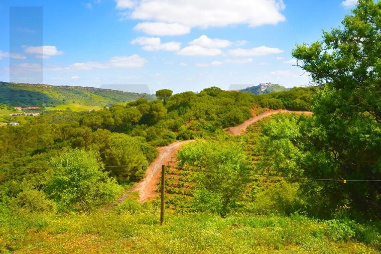 Quinta T5 para Venda em Palmela Foto 14