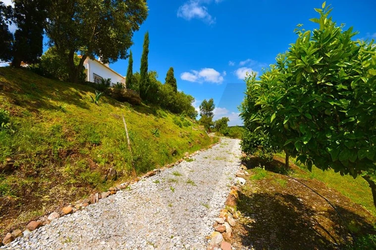 Quinta T5 para Venda em Palmela Foto 17