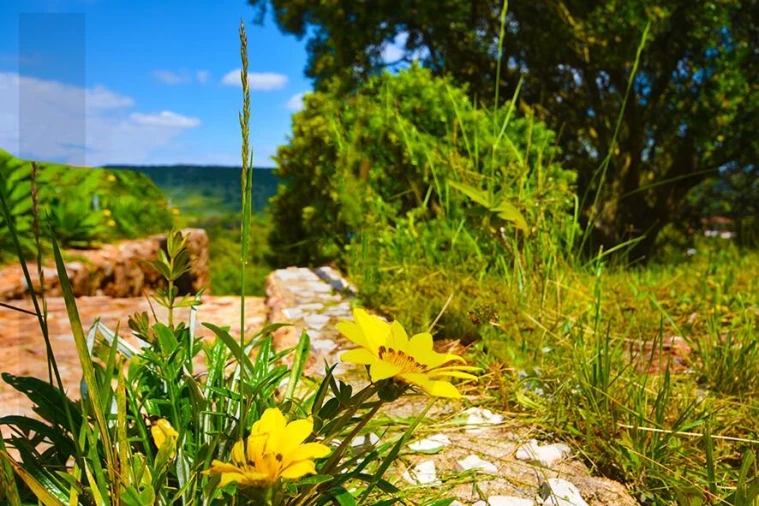 Quinta T5 para Venda em Palmela Foto 9