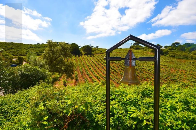 Quinta T5 para Venda em Palmela Foto 2