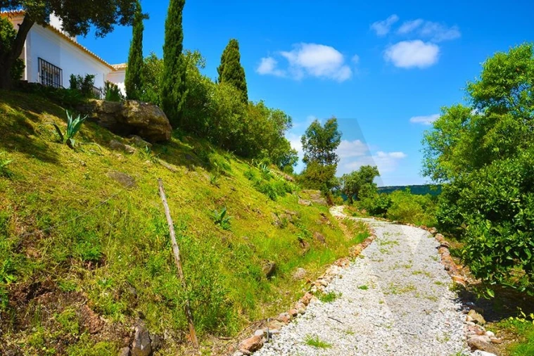 Quinta T5 para Venda em Palmela Foto 16