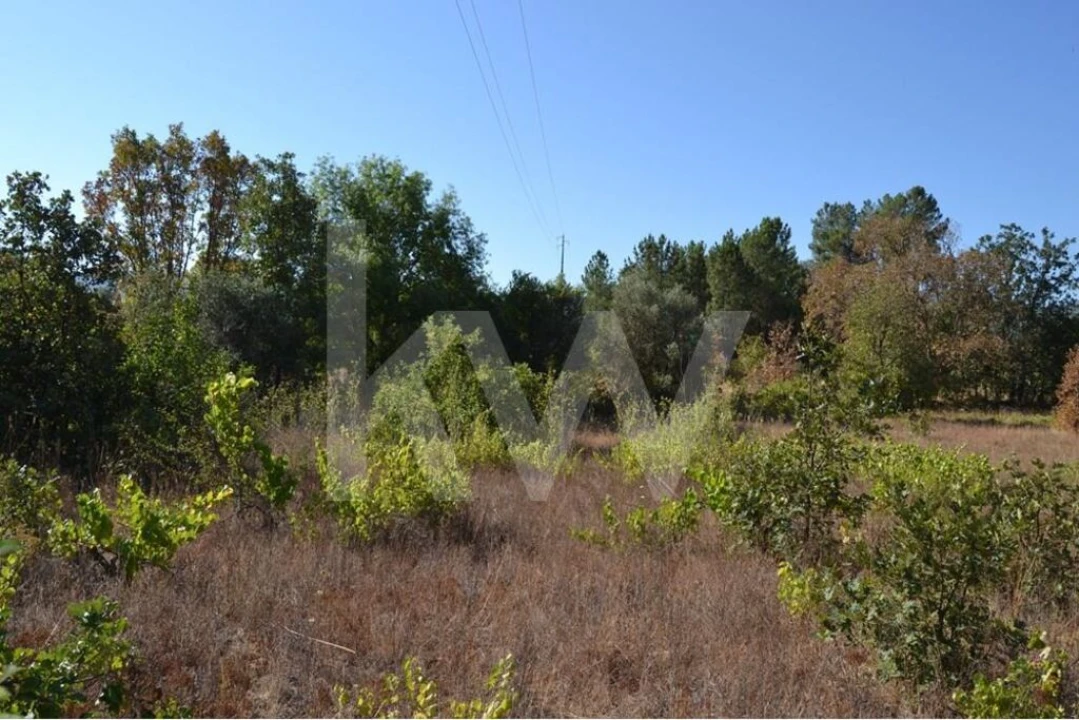 Terreno para Venda em Três Povos Foto 15