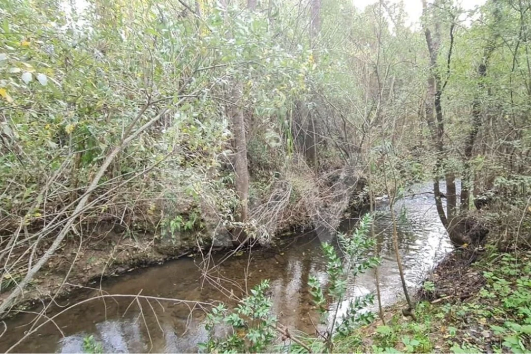 Terreno para Venda em Três Povos Foto 59