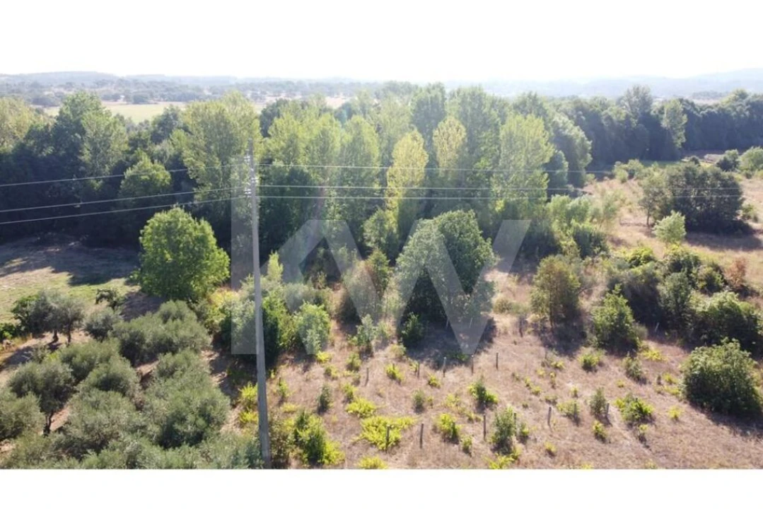 Terreno para Venda em Três Povos Foto 48