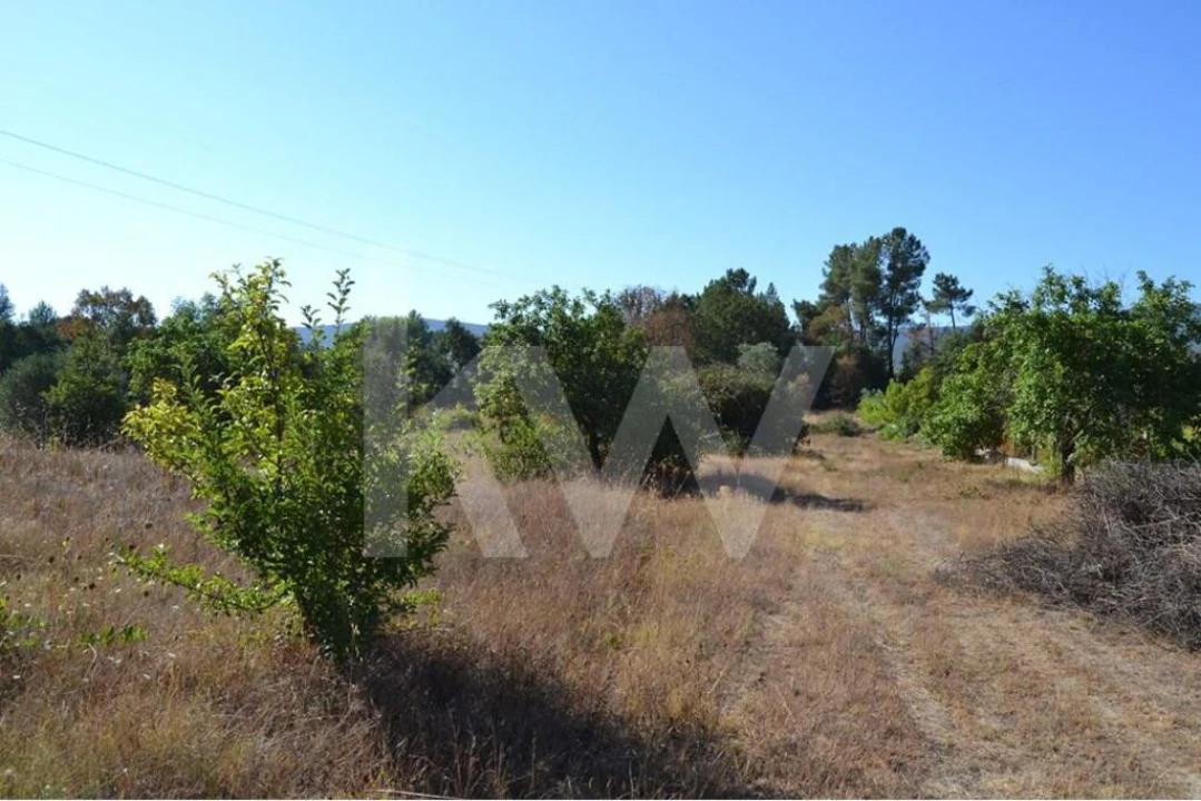 Terreno para Venda em Três Povos Foto 3
