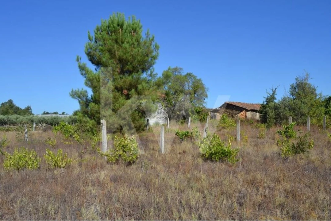 Terreno para Venda em Três Povos Foto 12