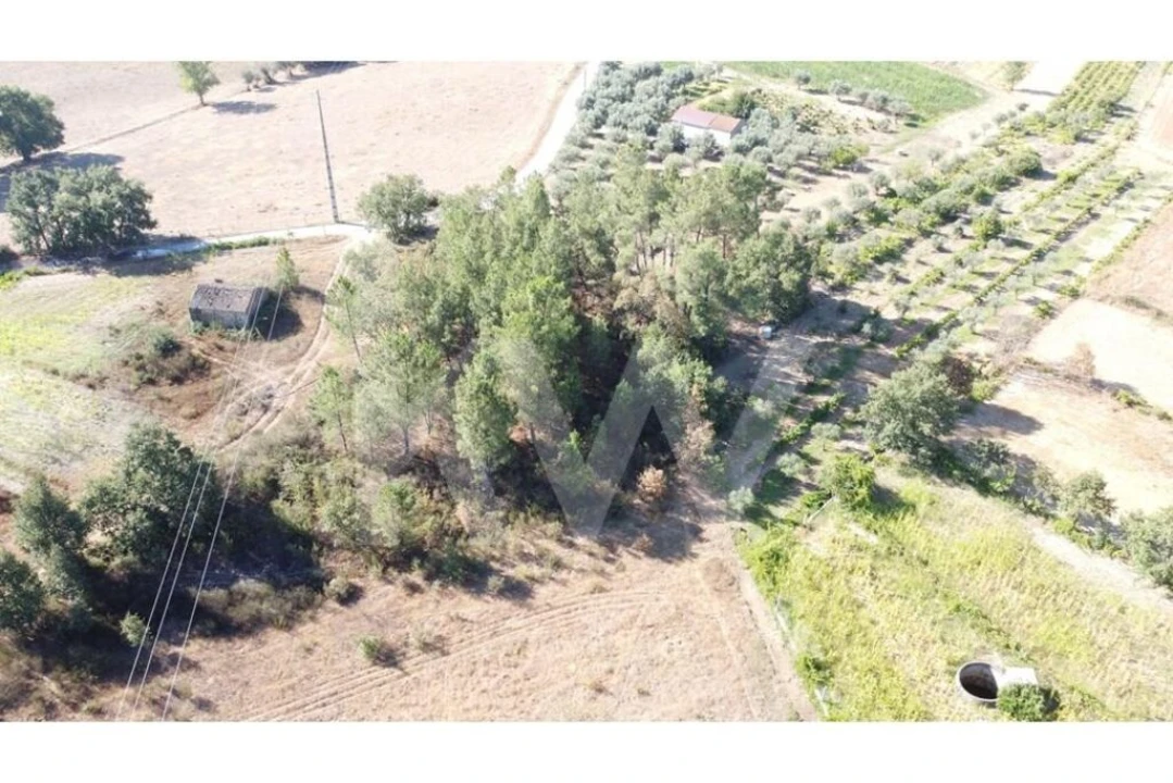 Terreno para Venda em Três Povos Foto 25