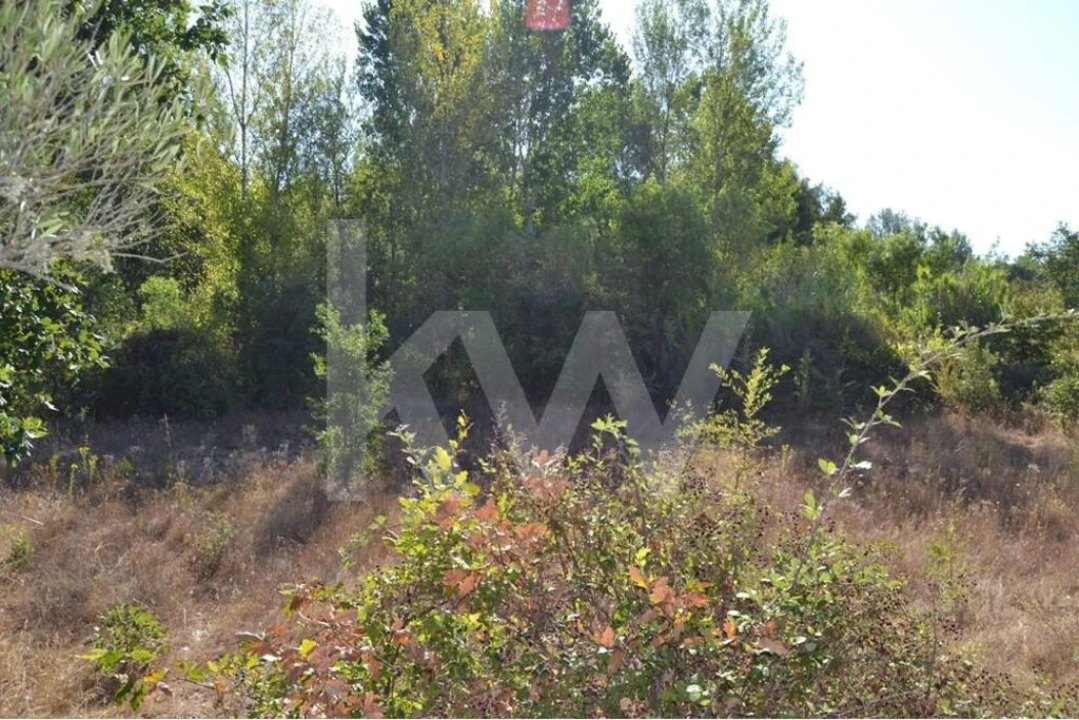 Terreno para Venda em Três Povos Foto 10