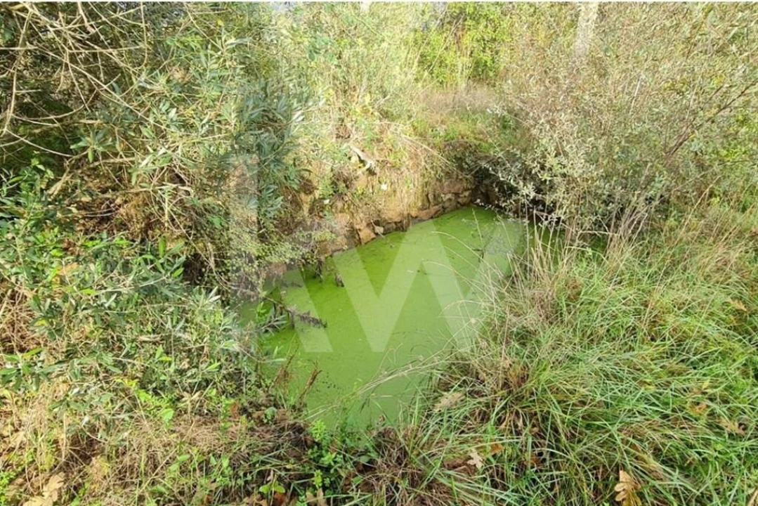 Terreno para Venda em Três Povos Foto 55