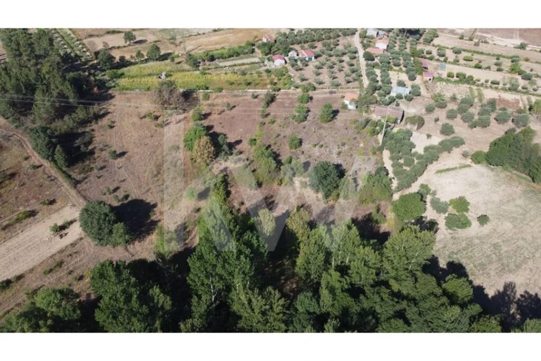 Terreno para Venda em Três Povos Foto 35