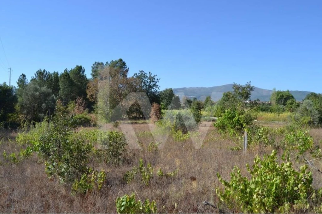 Terreno para Venda em Três Povos Foto 13