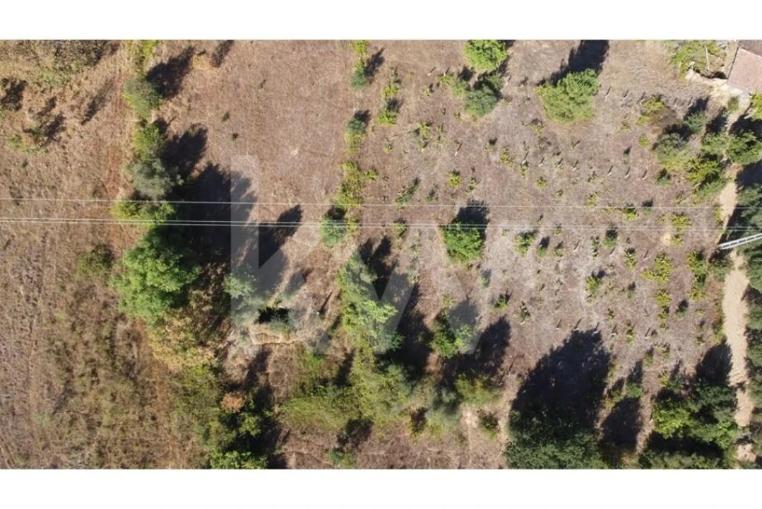 Terreno para Venda em Três Povos Foto 37