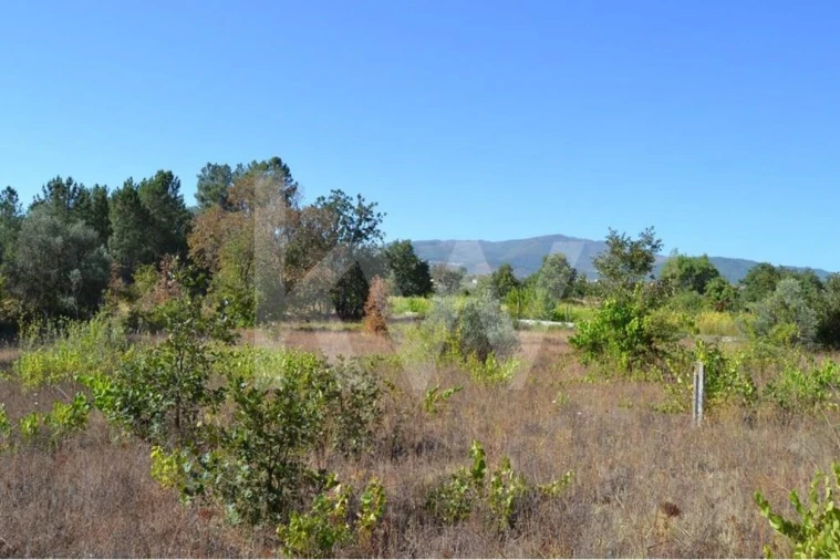 Terreno para Venda em Três Povos Foto 16
