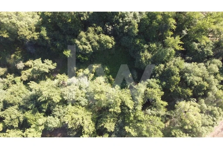 Terreno para Venda em Três Povos Foto 27