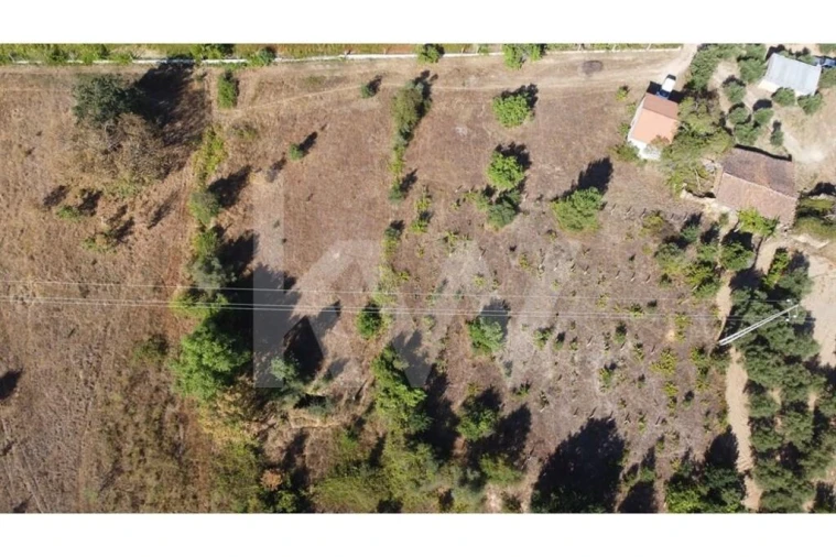 Terreno para Venda em Três Povos Foto 36