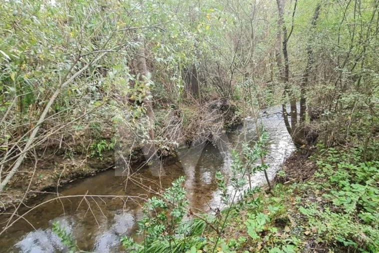 Terreno para Venda em Três Povos Foto 54
