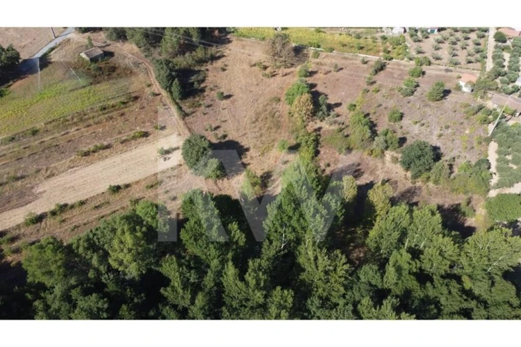 Terreno para Venda em Três Povos Foto 30