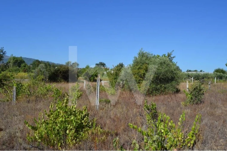 Terreno para Venda em Três Povos Foto 17