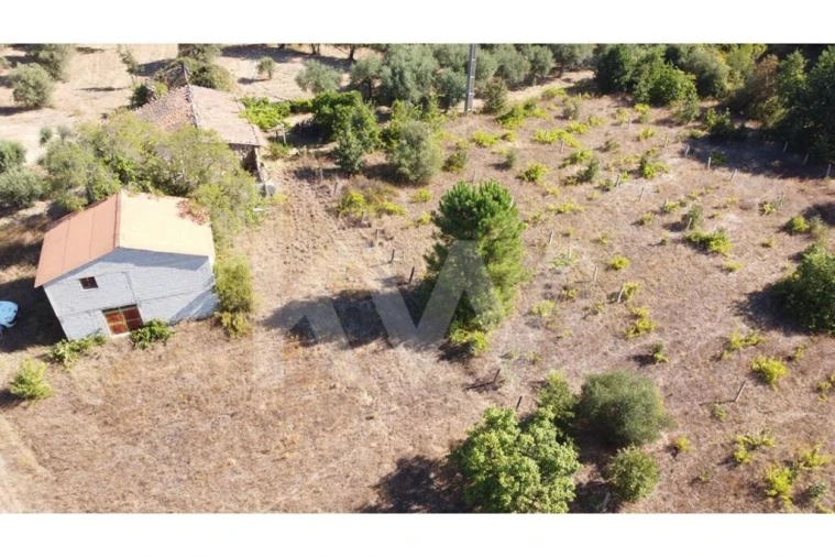 Terreno para Venda em Três Povos Foto 44