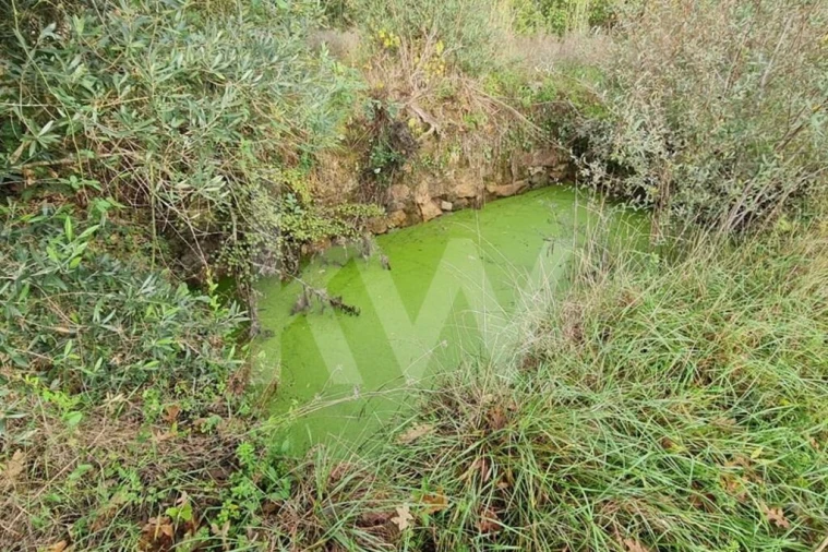 Terreno para Venda em Três Povos Foto 58