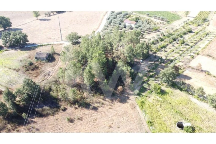 Terreno para Venda em Três Povos Foto 25