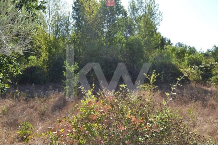 Terreno para Venda em Três Povos Foto 10