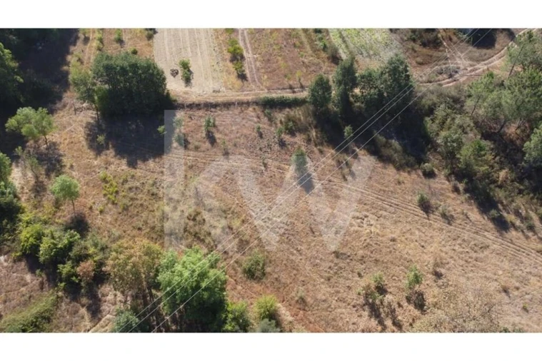 Terreno para Venda em Três Povos Foto 24
