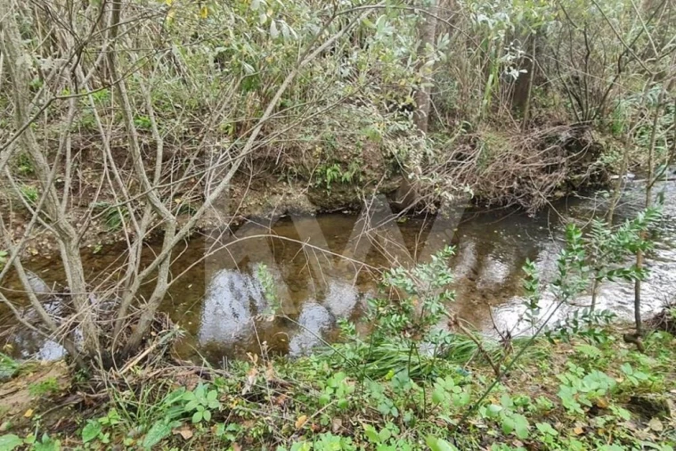 Terreno para Venda em Três Povos Foto 53