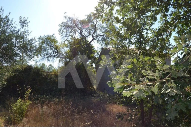 Terreno para Venda em Três Povos Foto 21