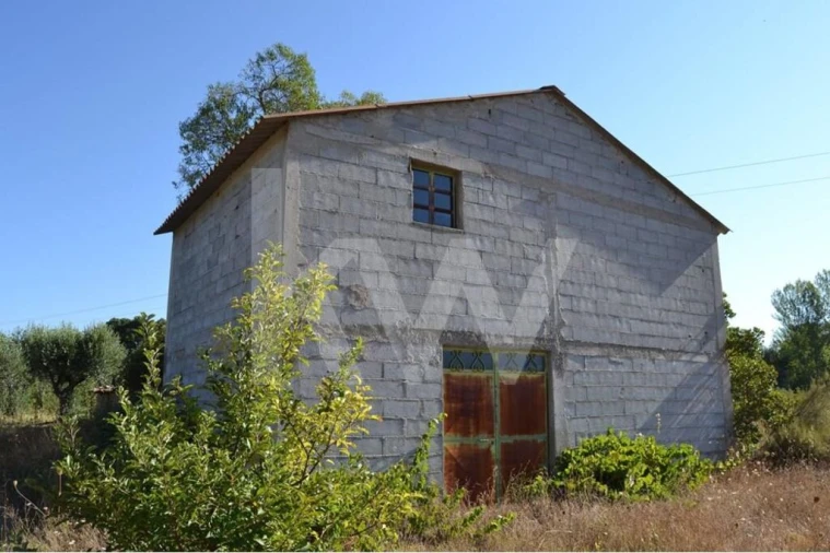 Terreno para Venda em Três Povos Foto 4
