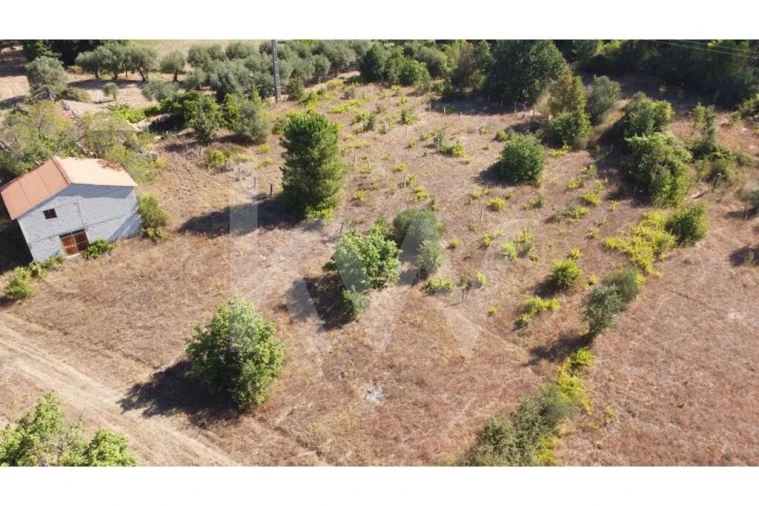 Terreno para Venda em Três Povos Foto 43