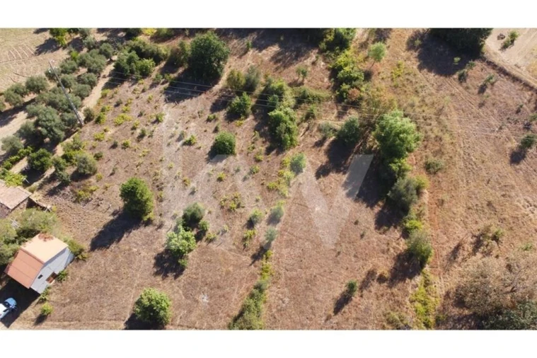 Terreno para Venda em Três Povos Foto 41