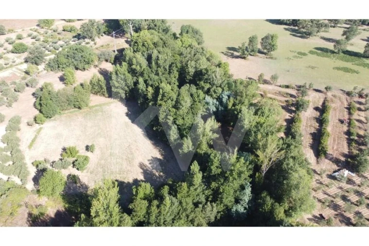 Terreno para Venda em Três Povos Foto 28