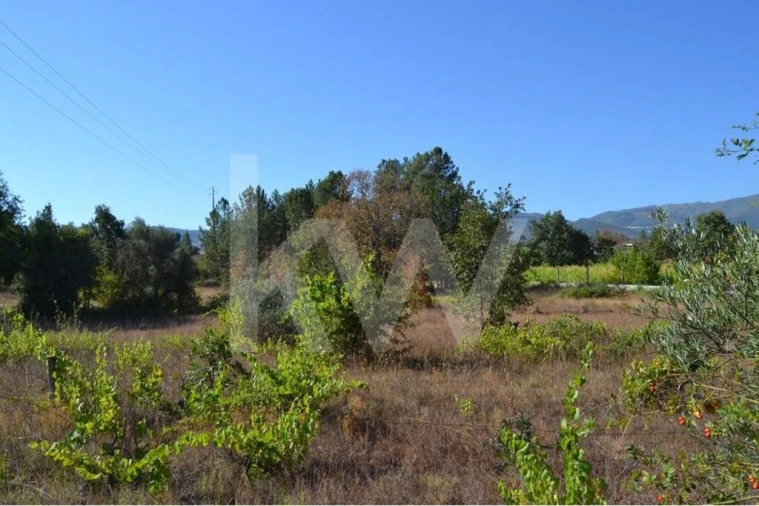 Terreno para Venda em Três Povos Foto 8