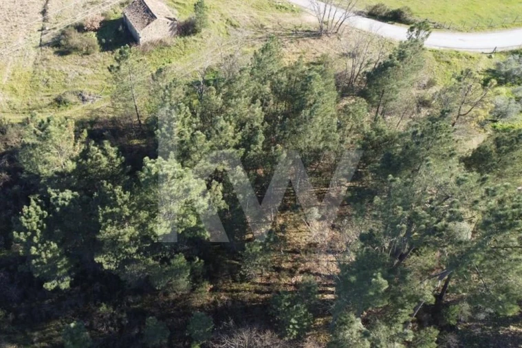 Terreno para Venda em Três Povos Foto 61