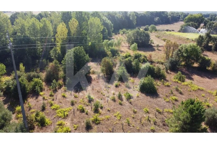 Terreno para Venda em Três Povos Foto 47