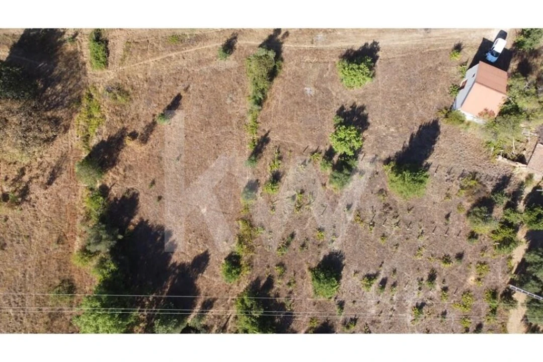 Terreno para Venda em Três Povos Foto 38