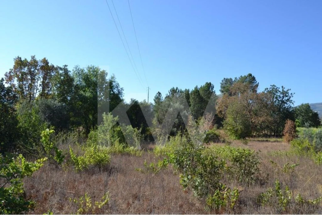 Terreno para Venda em Três Povos Foto 14