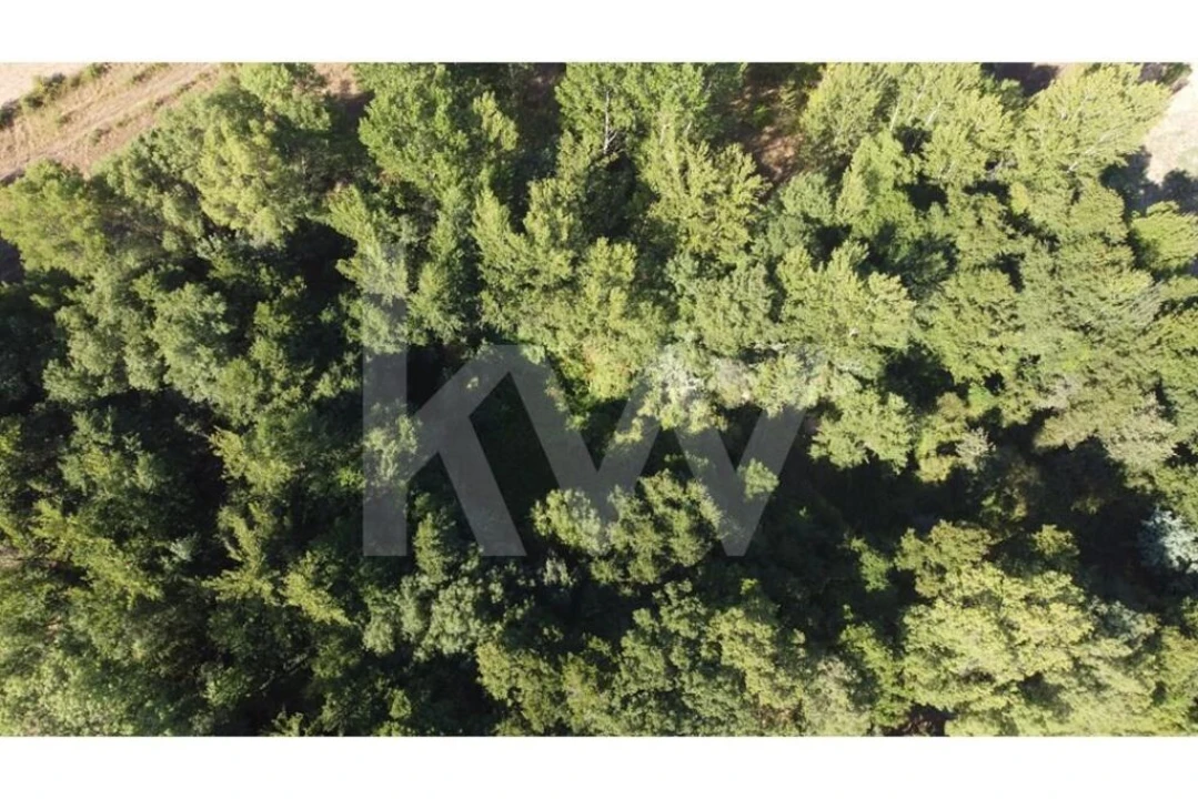 Terreno para Venda em Três Povos Foto 31